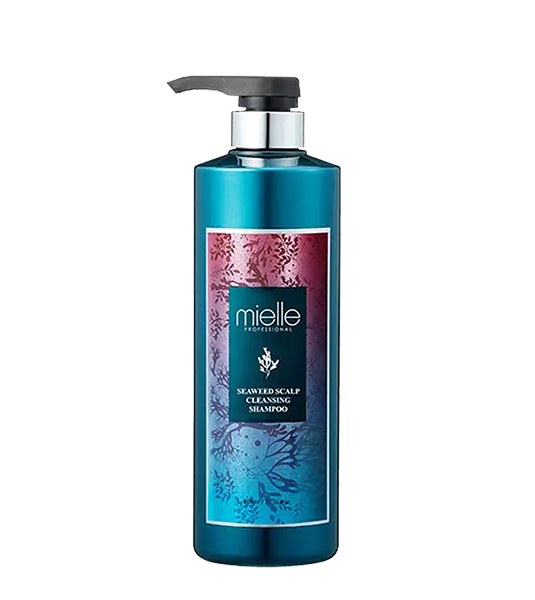 mielle shampoo